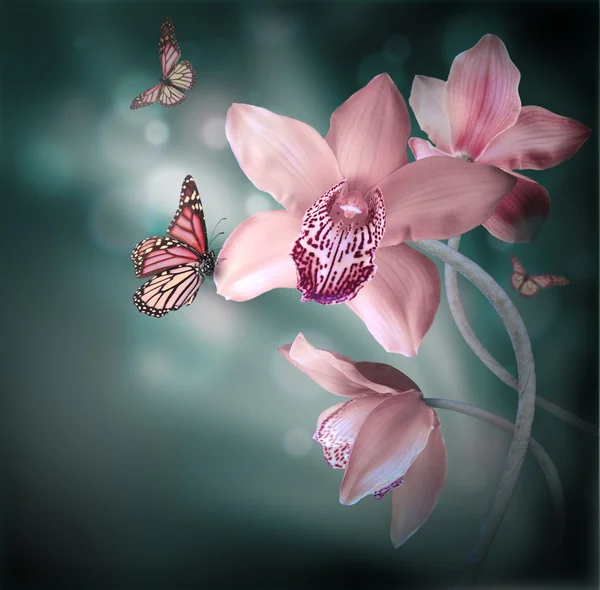 Orchideen mit einem Schmetterling auf dem farbigen Hintergrund Stockbild