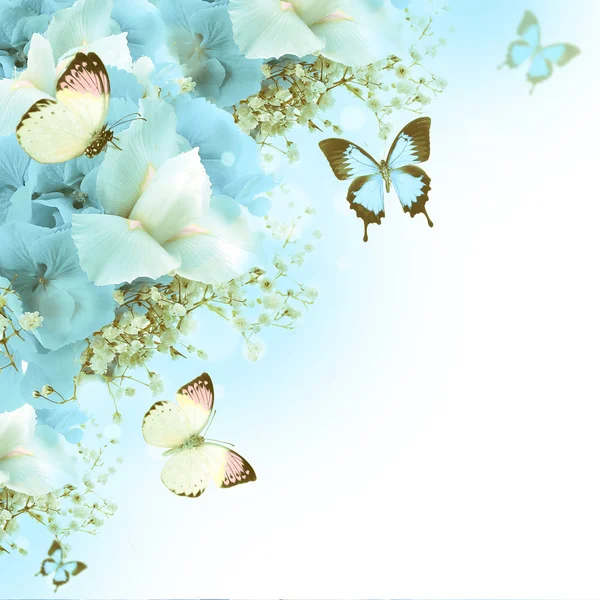 Flowers and butterfly, blue hydrangeas and white irises — Stock Photo, Image