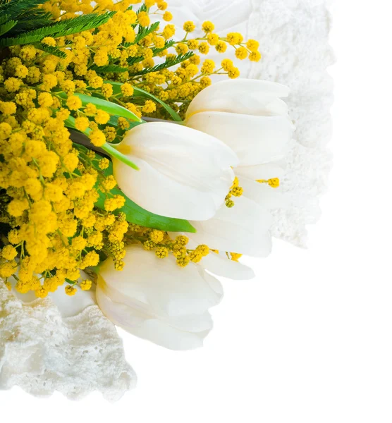 Witte tulpen met een mimosa, een achtergrond van bloemen — Stockfoto