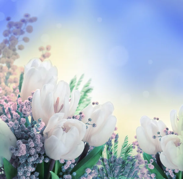 Tulipanes blancos con una mimosa, un fondo de flores — Foto de Stock