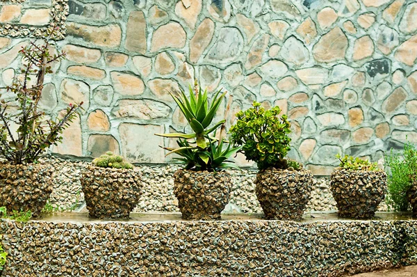 Tropiska blommor i brun vaser mot en stenmur — Stockfoto
