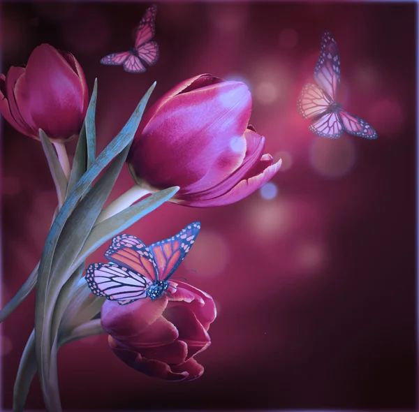 Цветы и бабочки — стоковое фото