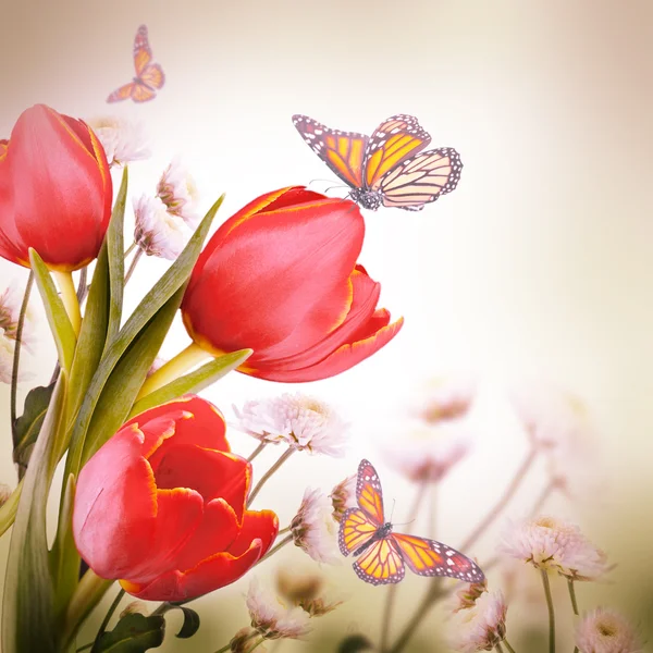 Flores y mariposas — Foto de Stock