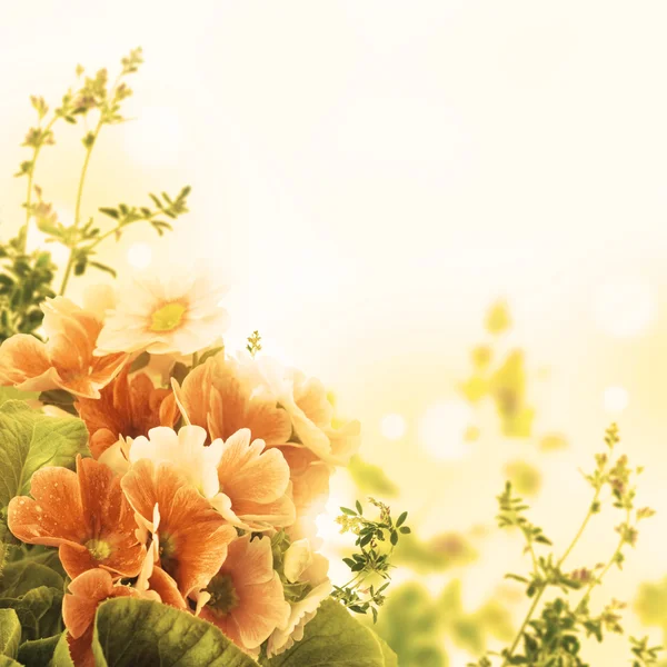 Une primevère printanière est dans un bouquet, fond floral et papillon — Photo