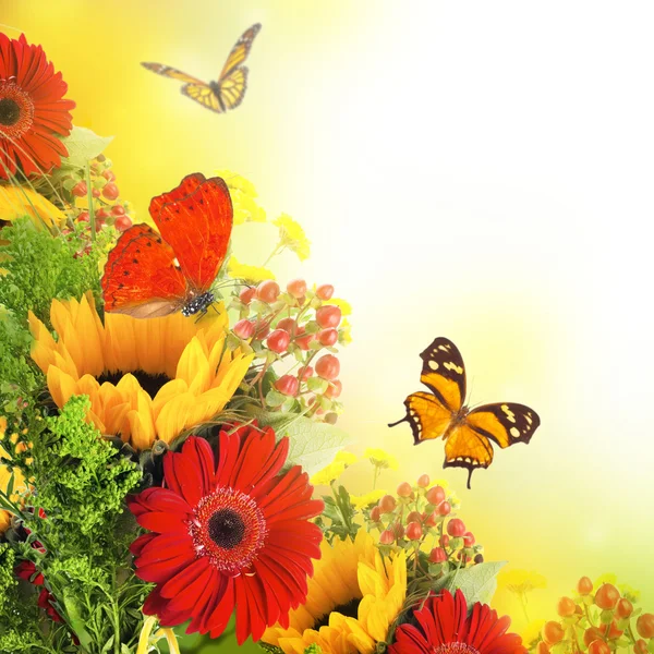Podzimní květiny, kytice gerber a motýl — Stock fotografie