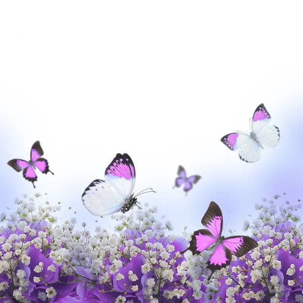 Bunga dalam karangan bunga, hidrangea biru dan kupu-kupu Stok Lukisan  