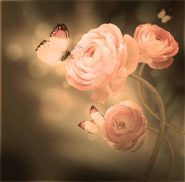 Kytice růžových růží proti tmavé pozadí motýl — Stock fotografie