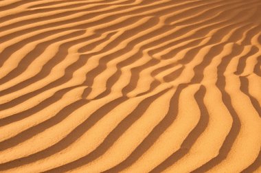 Kuzey Afrika Çölü, kumlu haykırışlar