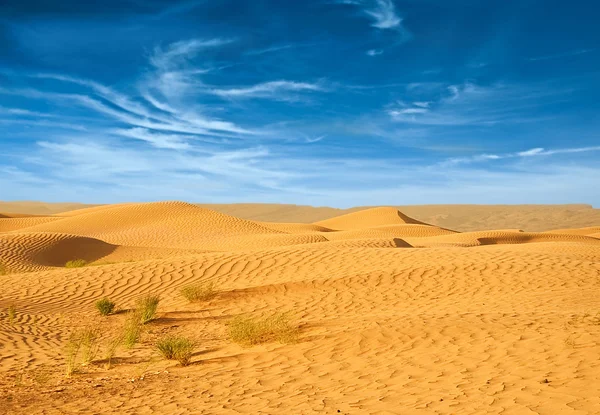 Észak-afrikai sivatag, homokos kéreg — Stock Fotó