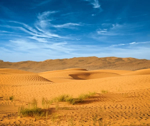 Pustynia Afryki Północnej, piaszczyste barkhany — Zdjęcie stockowe