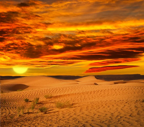북아프리카 의사 막, 모래 바칸 — 스톡 사진