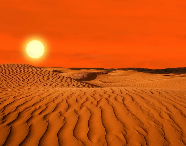 Woestijn van Noord-Afrika, zandbarkhans — Stockfoto
