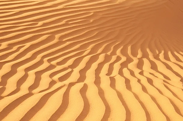 Desert of North Africa, sandy barkhans — Stock Photo, Image