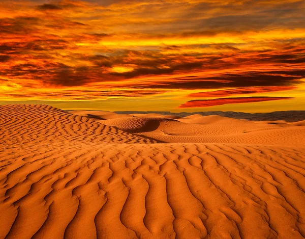 Пустеля Північної Африки, піщані бархани. — стокове фото