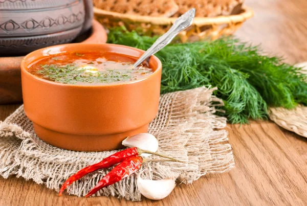 Borsch, minestra da una barbabietola e cavolo con salsa di pomodoro . — Foto Stock