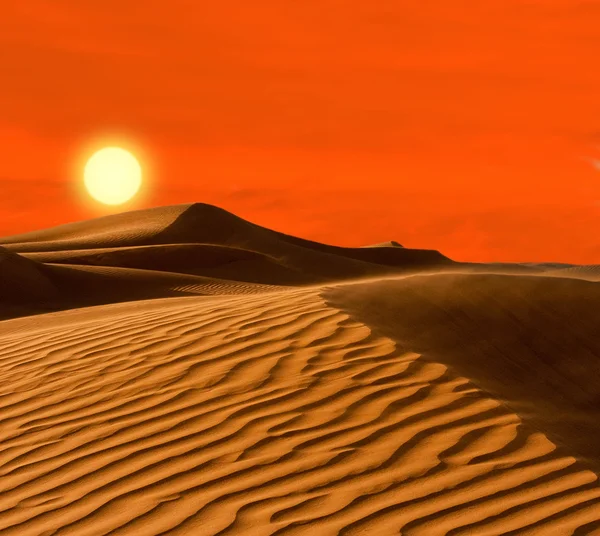 Woestijn van Noord-Afrika, zandbarkhans — Stockfoto