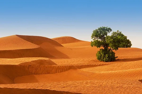 Desierto del norte de África, barkanes arenosos — Foto de Stock