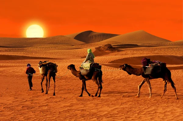 A tribo Berbesky passa pelo deserto em África — Fotografia de Stock