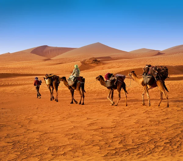 A tribo Berbesky passa pelo deserto em África — Fotografia de Stock