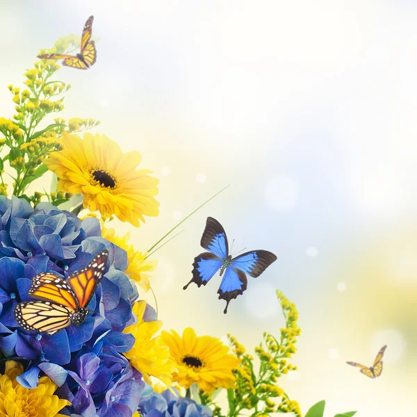 Strauß aus blauen Hortensien und Schmetterling — Stockfoto
