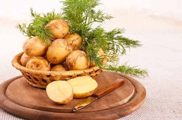 Appetizing potato in a pot with fennel — Stock Photo, Image