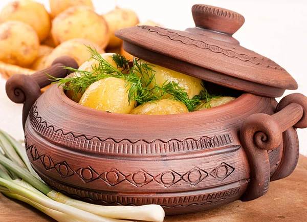 Аппетитная картошка в кастрюле с фенхелем свежего урожая — стоковое фото