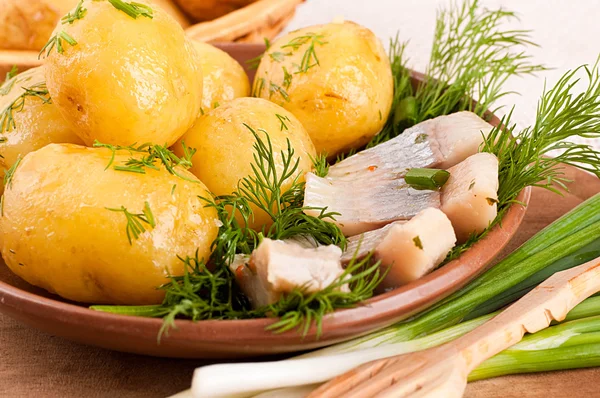 Herring with potato — Stock Photo, Image