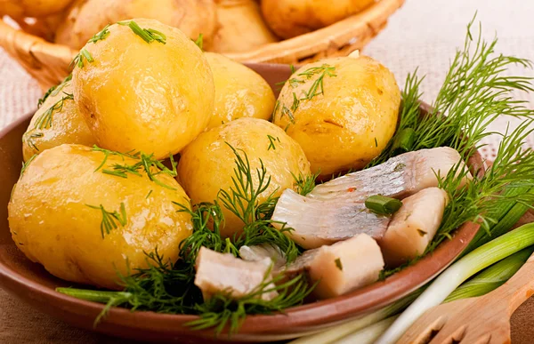 Arenque con patata — Foto de Stock