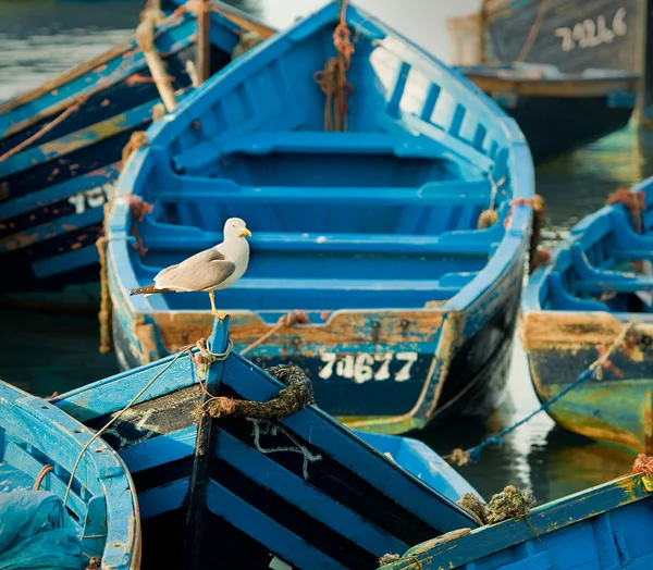 Balıkçı tekneleri Fas — Stok fotoğraf