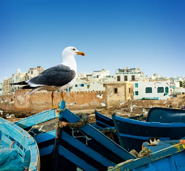 Modré rybářské lodě v Maroku — Stock fotografie