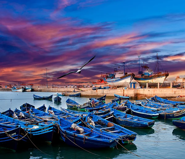Barcos de pesca azul en Marruecos — Foto de Stock