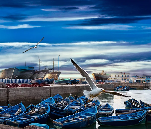 Barcos de pesca azul en una costa del océano en Essaouira, Marruecos —  Fotos de Stock