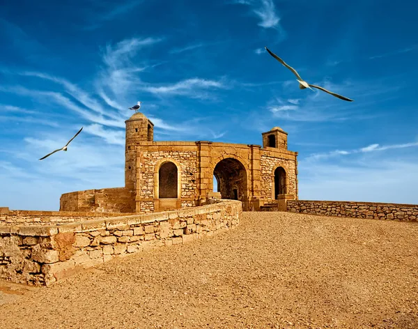 在索维拉俯瞰大西洋，摩洛哥的老堡垒 — 图库照片