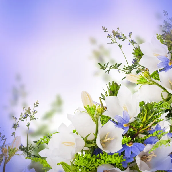白い背景の上の白と青の鐘の花束 — ストック写真