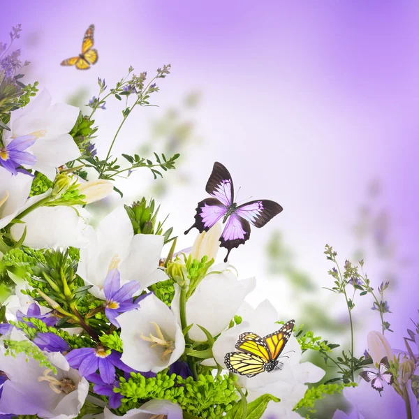 Bouquet di campane bianche e blu su sfondo bianco — Foto Stock