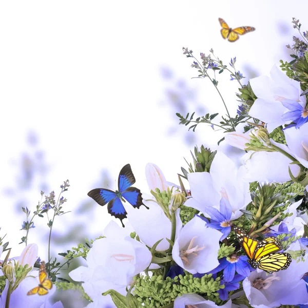 Bouquet di campane bianche e blu su sfondo bianco — Foto Stock