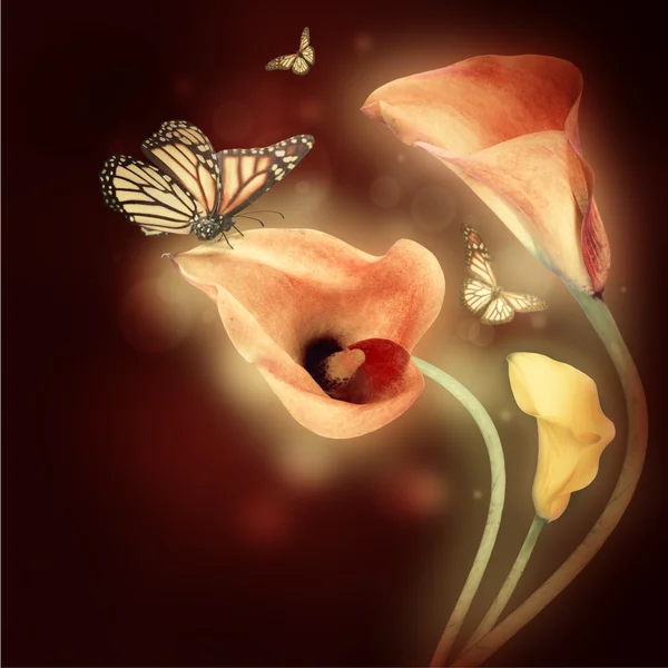 Multi-colored lilies and the butterfly on a dark background — Stock Photo, Image