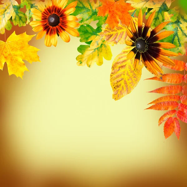 Hojas de otoño sobre un fondo amarillo — Foto de Stock