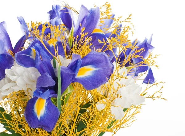 Ramo de iris azules y flores blancas — Foto de Stock