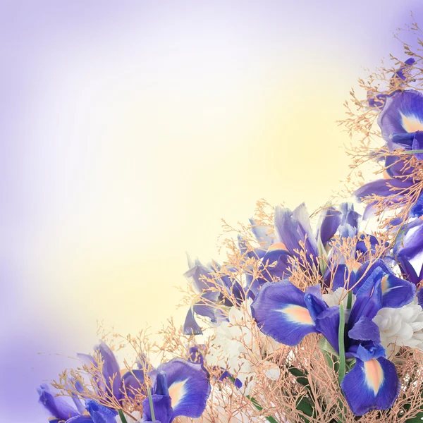 Strauß blauer Schwertlilien und weißer Blumen — Stockfoto