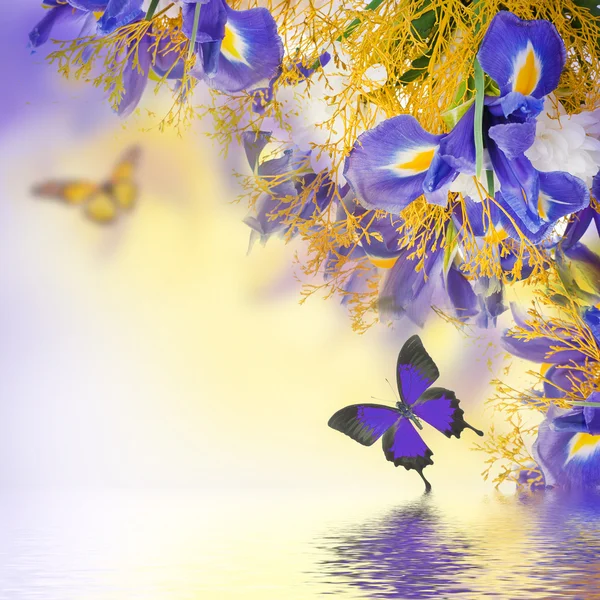 Strauss aus blauen Schwertlilien, weißen Blumen und Schmetterling — Stockfoto