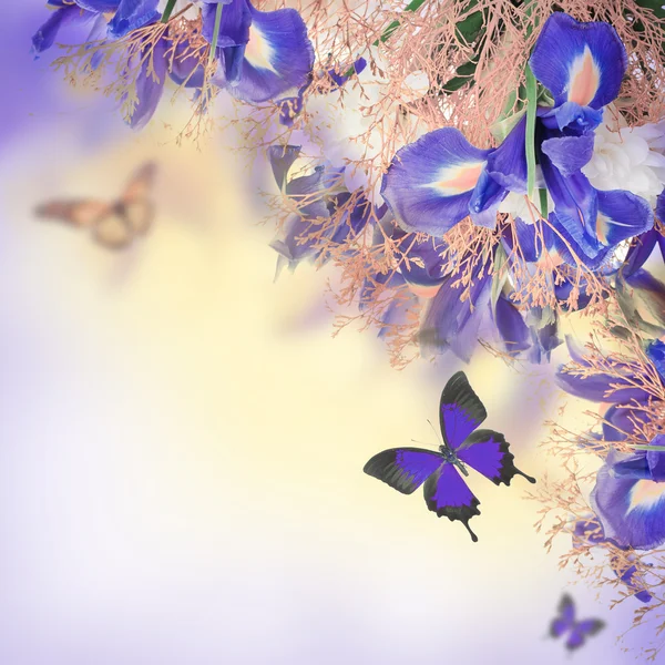 Bukiet niebieskie irysy, białych kwiatów i motyli — Zdjęcie stockowe