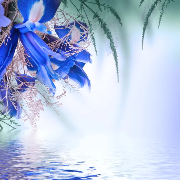 Μπουκέτο μπλε ίριδες και άσπρα λουλούδια — Φωτογραφία Αρχείου