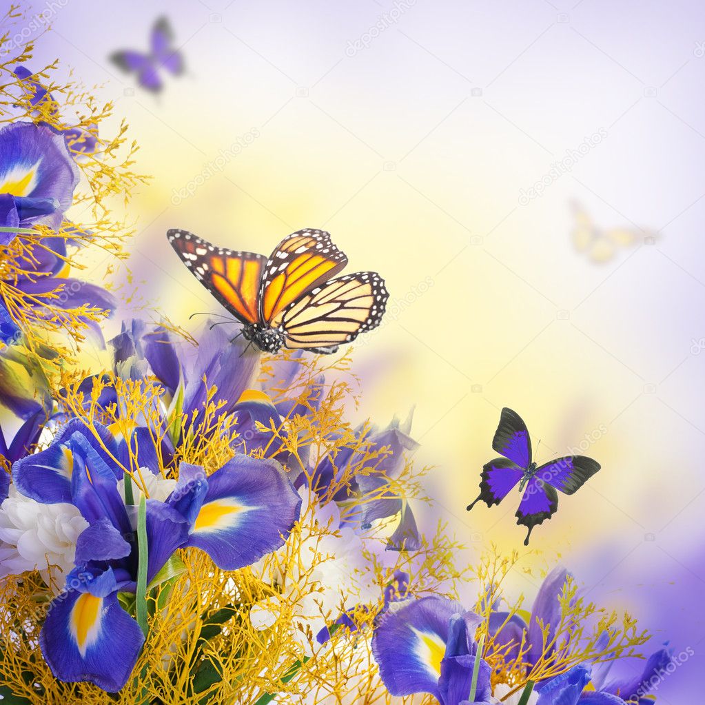 Bouquet of blue irises, white flowers and butterfly