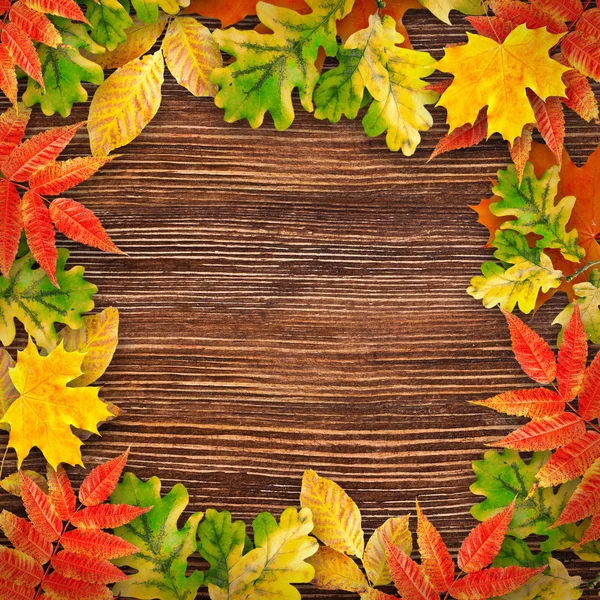 Autumn leaves on a wooden background — Stock Photo, Image