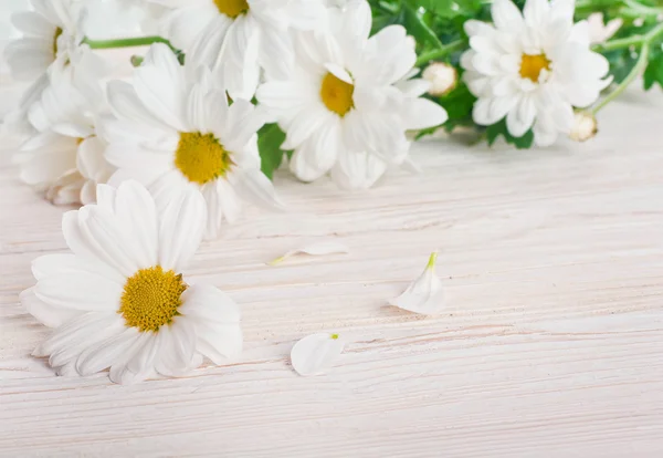 Un mazzo di margherite bianche, fiori di campo — Foto Stock