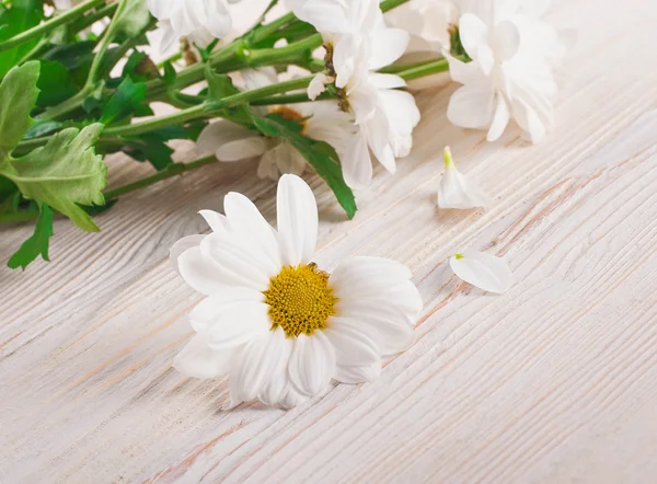 Un ramo de margaritas blancas, flores silvestres —  Fotos de Stock