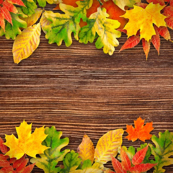 Autumn leaves on a wooden background — Stock Photo, Image