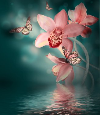 Orchids with a butterfly