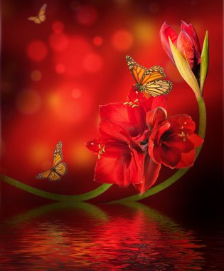 bir kelebek ile orkide